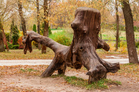 Autumn sunlay in the leaves on which a large snag