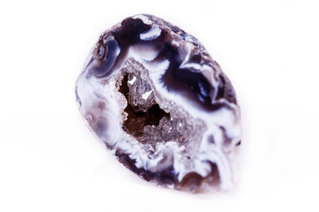 Macro mineral stone agate kidney gerbera on white background close up