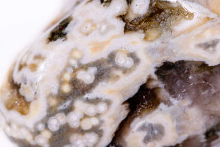 Macro mineral stone Jasper oceanic on a white background close upの写真素材