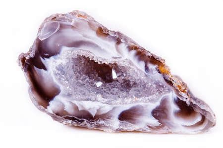 Macro mineral stone agate kidney gerbera on white background close upの写真素材