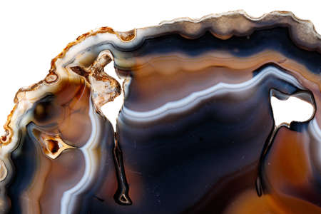Macro mineral stone Yellow, brown Agate breed a white background close up