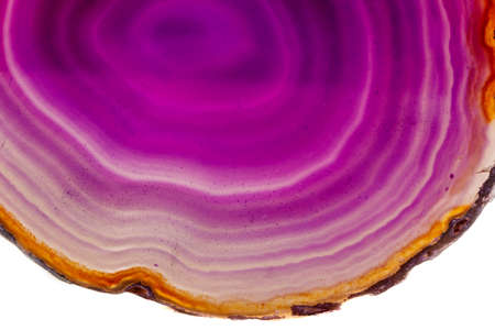 Macro mineral stone Purple Agate breed a white background close up
