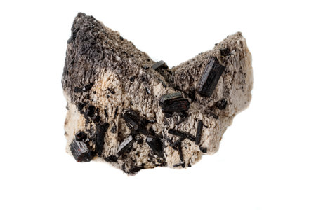 Macro mineral stone Schorl, Black Tourmaline on the feldspar on a white background close-up