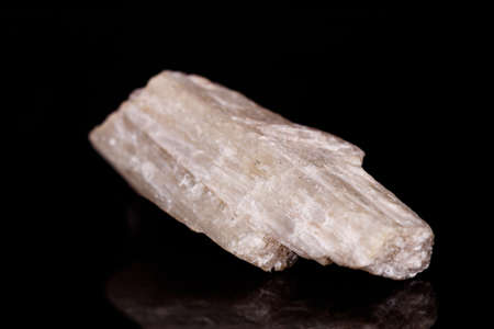 Macro mineral stone Orthoclase on black background close up