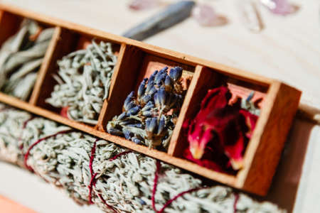 set of dried herbs delphinium, sage, wormwood, lavender, rose. Wormwood wand close upの写真素材