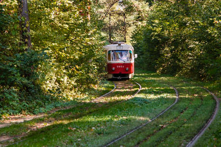 Tram and tram rails in colorful forest close upの写真素材