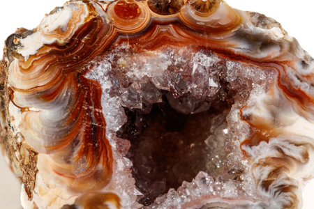Macro mineral stone agate kidney gerbera on white background close up