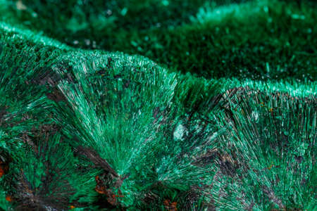 Macro mineral stone plisoviy, plush, satin malachite on a white background close-up
