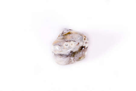 Macro mineral stone Jasper oceanic on a white background close up