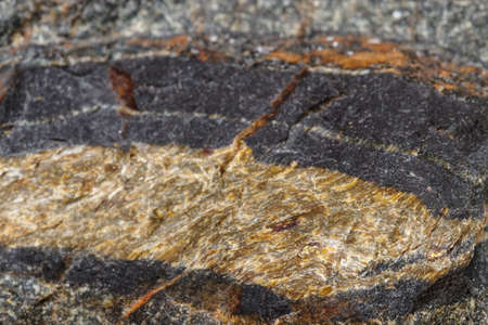 Macro mineral stone Snake eye in the rock a white background close up