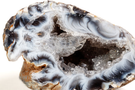 Macro mineral stone agate kidney gerbera on white background close up