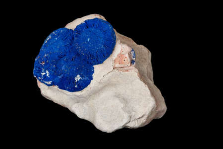 Macro mineral stone Azurite in siltstone against black background close up