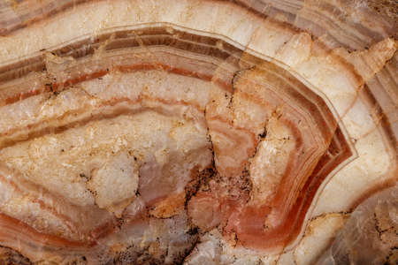 Macro mineral stone Agate Brown on white background close upの写真素材