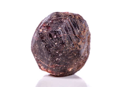 Macro of a mineral garnet stone on a white background close upの写真素材