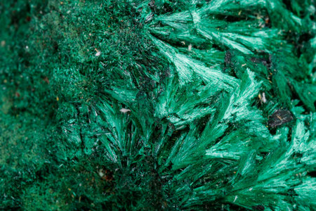 Macro mineral stone plisoviy, plush, satin malachite on a white background close-up