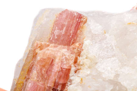 Macro mineral stone Tourmaline in the breed a white background close up