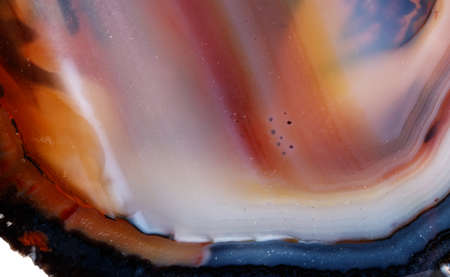 Macro mineral stone Yellow, brown Agate breed a white background close up