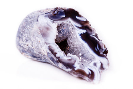 Macro mineral stone agate kidney gerbera on white background close up