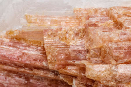 Macro mineral stone Tourmaline in the breed a white background close up