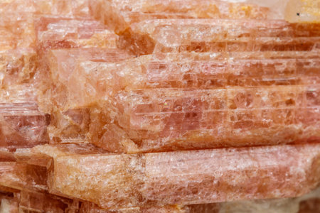 Macro mineral stone Tourmaline in the breed a white background close upの写真素材