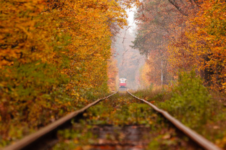 autumn forest among which goes a strange tram close upの写真素材