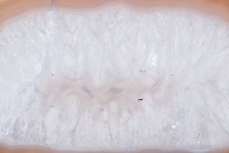 Macro mineral orange agate in crystals on white background close up