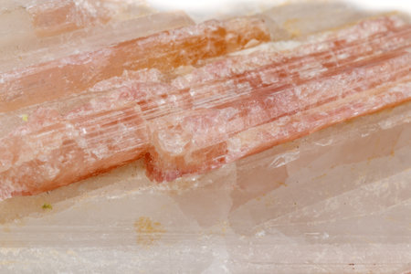 Macro mineral stone Tourmaline in the breed a white background close up