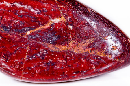Macro mineral stone jasper zebra iron on a white background close up