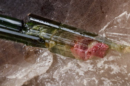 Macro mineral tourmaline stone in quartz on a white background close upの写真素材
