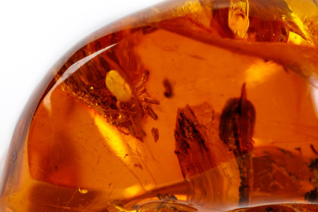 Macro Amber mineral stone with spider on white background close upの写真素材