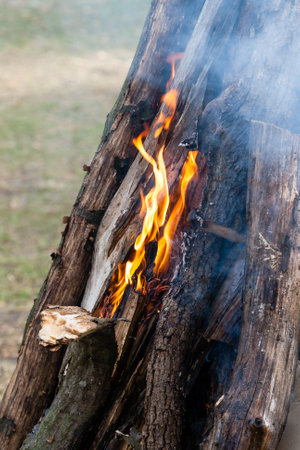 Beautiful fire flames on a campfireの写真素材