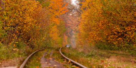 autumn forest among which goes a strange tram close upの写真素材