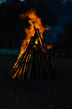 Beautiful fire flames on a campfire