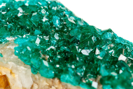 Macro mineral stone Dioptase silicate copper on a white background close-upの写真素材