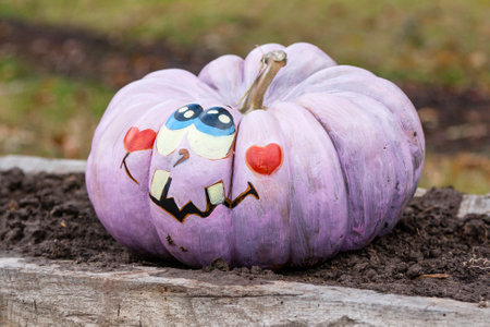 Beautiful pumpkins for halloweenの写真素材