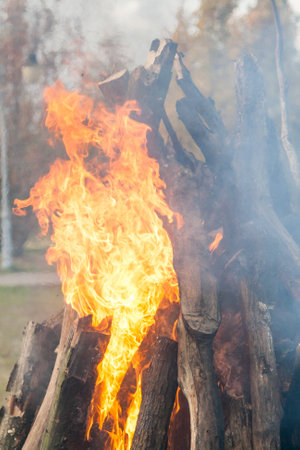 Beautiful fire flames on a campfire