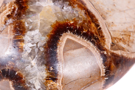 Macro mineral stone Simbirzit and Septaria on white background close-up