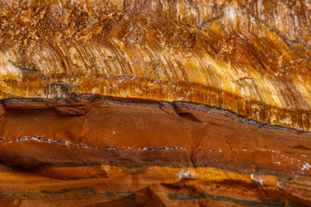 Macro mineral stone Tiger's eye in the breed on a white background close up