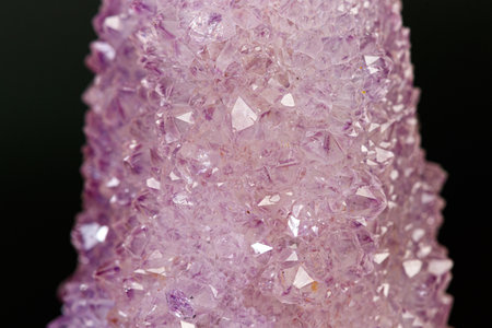 macro mineral stone amethyst cactus on a black background close-up