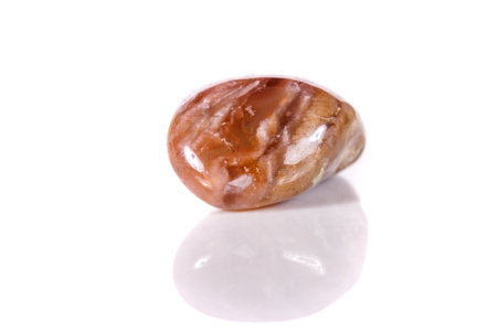 Macro mineral stone jasper on a white background close up