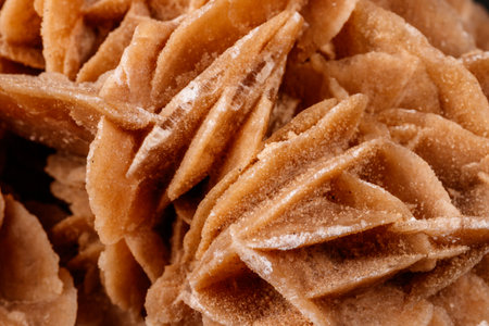 Macro mineral stone desert rose or sand rose on a black background close upの写真素材