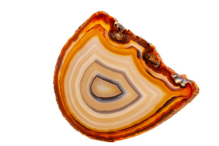 Macro mineral stone Yellow, brown Agate breed a white background close upの写真素材