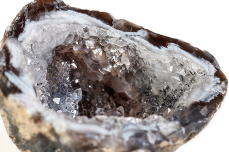 Macro mineral stone agate kidney gerbera on white background close upの写真素材