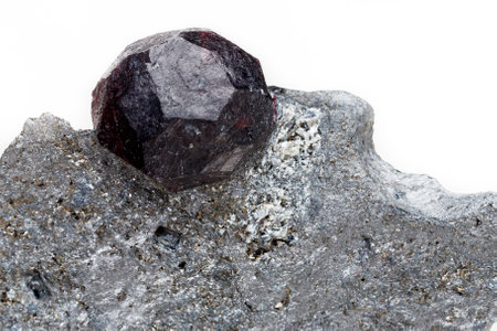 Macro mineral stone garnet in the rock on a white background close-upの写真素材