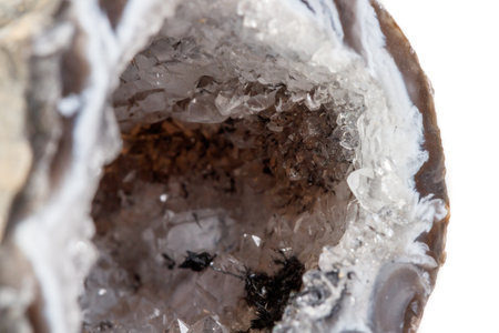 Macro mineral stone agate kidney gerbera on white background close upの写真素材