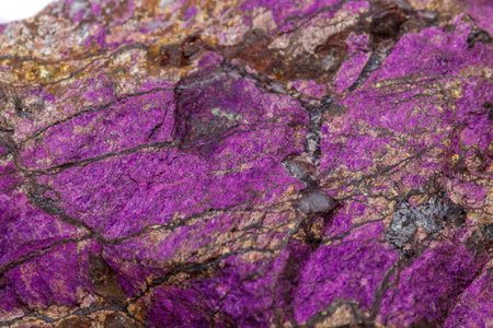 Macro mineral stone purpureus, (purple) purpurite in the breed a white background close upの写真素材