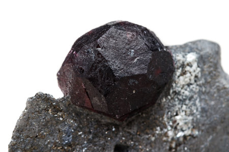 Macro mineral stone garnet in the rock on a white background close-upの写真素材