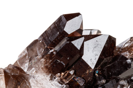 Macro mineral stone Morion crystal in the rock a white background close upの写真素材