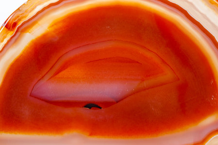 Macro mineral orange agate in crystals on white background close upの写真素材