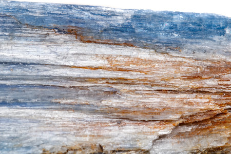 Macro mineral stone Kyanite a white background close up